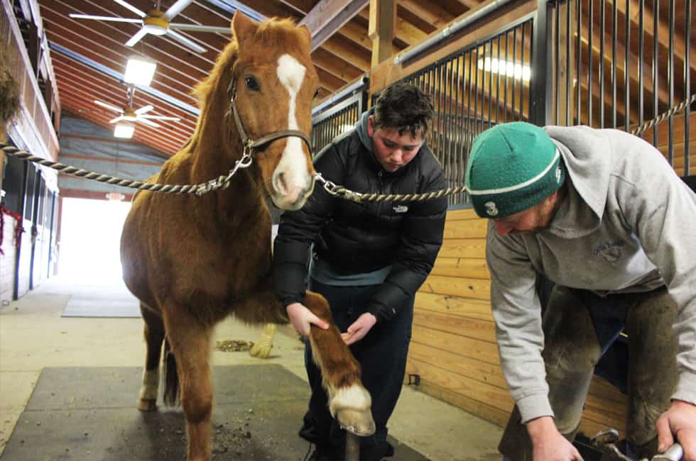 Green Chimneys students learn what it's like to be a farrier