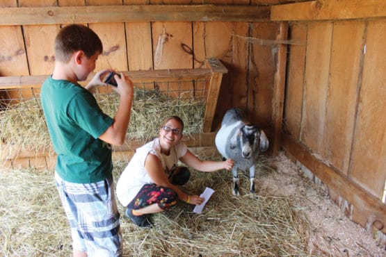 Student and teacher inside goat shelter discussing. Student using camera phone to take a picture.