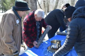 Learning how to grow shiitake mushrooms