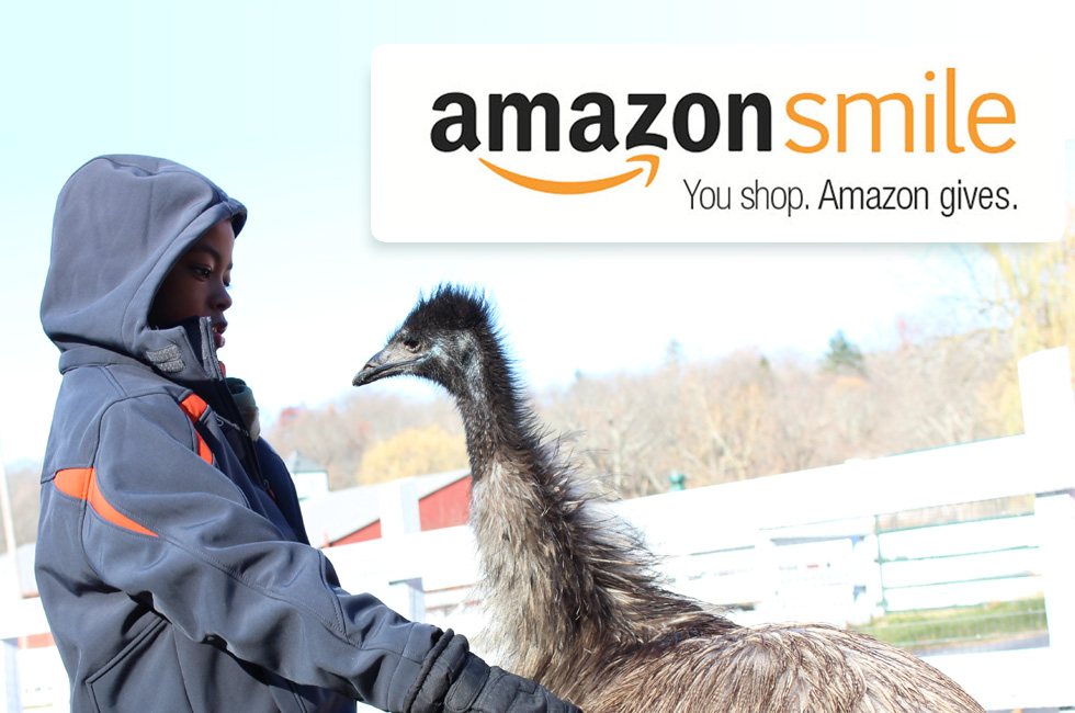 Amazon Smile gives back to Green Chimeys