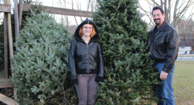 Christmas tree sales at Boni-Bel