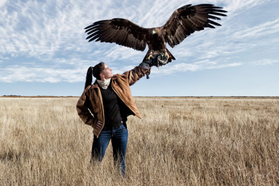 Falconry and Wildlife Rehabilitation