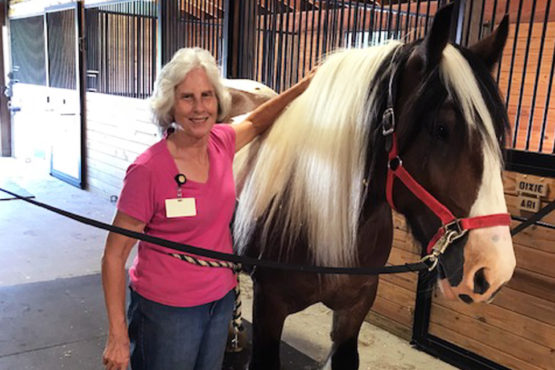 Image of volunteer with horse