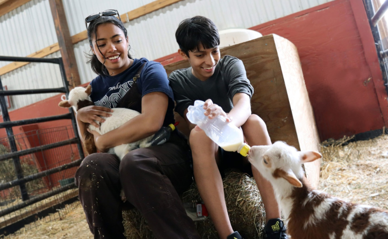 Two people are interacting with goats; one is holding a goat, and the other is bottle-feeding a kid, related to Sam and Myra Ross Institute.