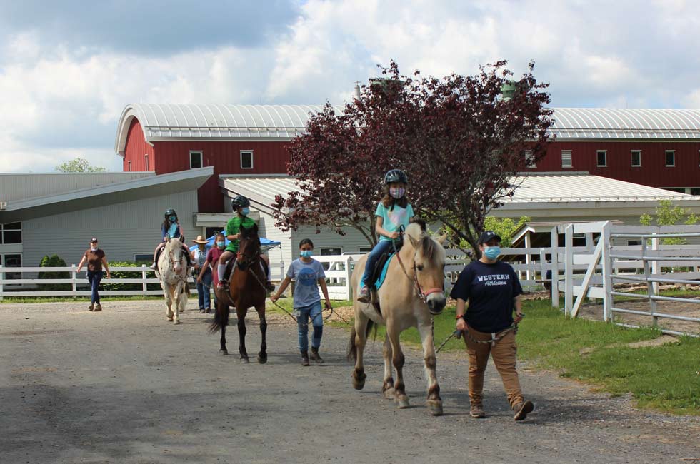 Volunteer with Horses Green Chimneys