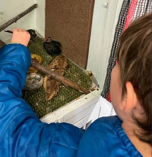 Student feeds a baby bird.