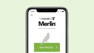 Merlin Bird ID screenshot