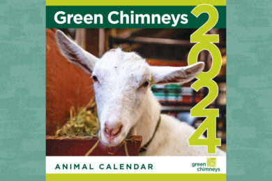 2024 Green Chimneys Animal Calendar cover featuring a white goat